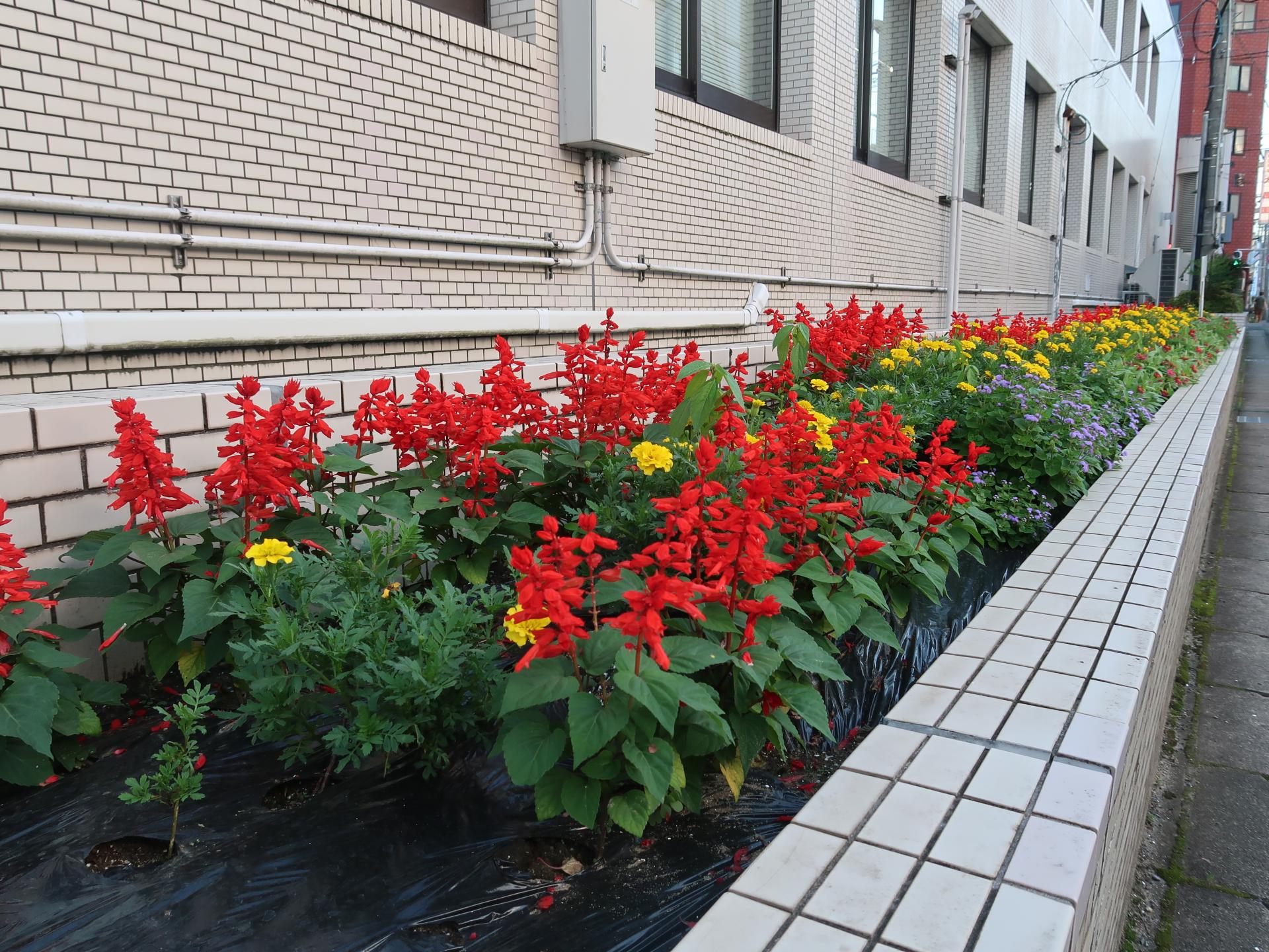 一関郵便局の花壇の写真